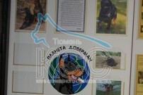 Фото клуба
