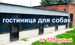 гостиница для собак